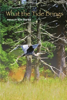 Kim Barke - What the Tide Brings, Häftad. Tillgänglighet: Tillfälligt slut