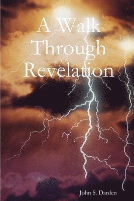 bokomslag Walk Through Revelation