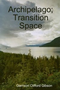 bokomslag Archipelago; Transition Space