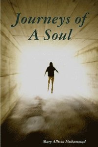 bokomslag Journeys Of a Soul
