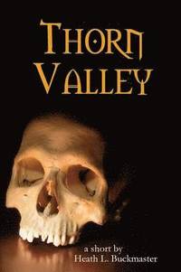 bokomslag Thorn Valley