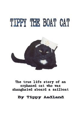 Tippy the Boat Cat 1