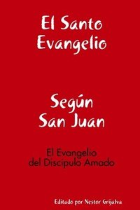 bokomslag Evangelio Segun San Juan
