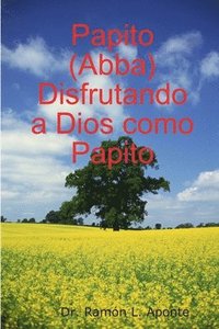 bokomslag Papito (Abba) Disfrutando a Dios Como Papito