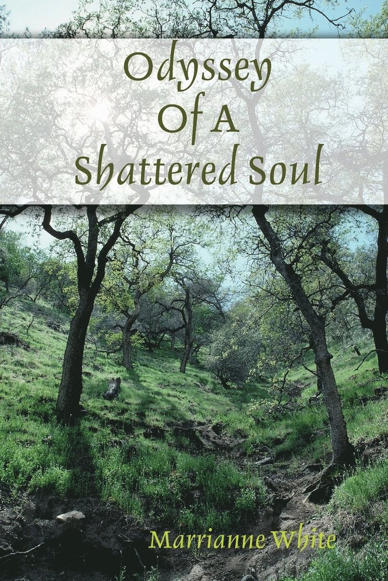 Odyssey Of A Shattered Soul 1