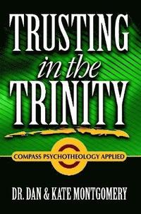 bokomslag TRUSTING IN THE TRINITY: Compass Psychotheology Applied