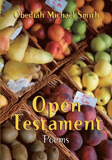 bokomslag Open Testament