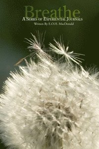 bokomslag Breathe