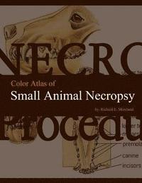 bokomslag Color Atlas of Small Animal Necropsy