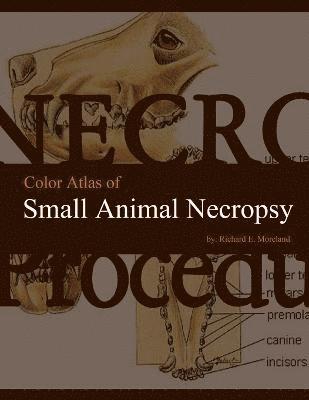 Richard Moreland - Color Atlas of Small Animal Necropsy, Häftad