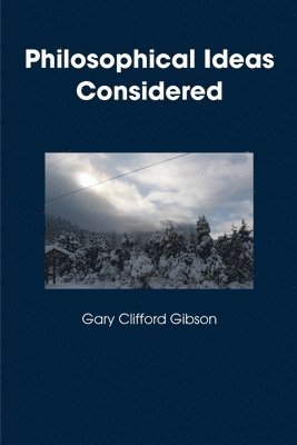 Gary Clifford Gibson - Philosophical Ideas Considered, Häftad