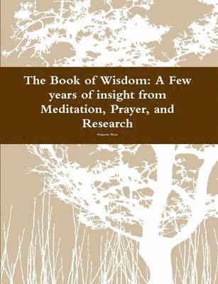 Benjamin Meyer - Book of Wisdom: A Few Years of Insight from Meditation, Prayer, and Research, Häftad