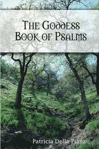 bokomslag Goddess Book of Psalms