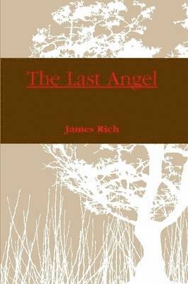 James Rich - Last Angel, Häftad