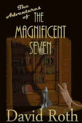 the Adventures of the Magnificent Seven 1