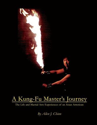 bokomslag Kung-Fu Master's Journey