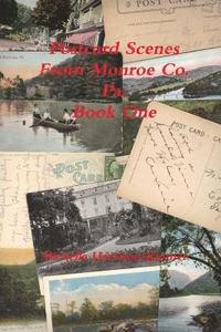 bokomslag Post Card Scenes From Monroe Co. Pa. Book One