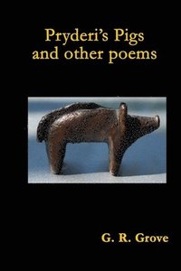 bokomslag Pryderi's Pigs and Other Poems