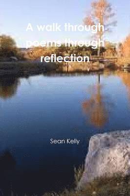 A Walk Through Poems Through Reflection 1