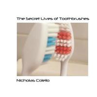 bokomslag The Secret Lives of Toothbrushes