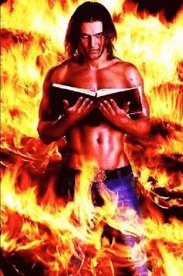 W. Shane Wilson - Ryan of the Wildfire, Häftad