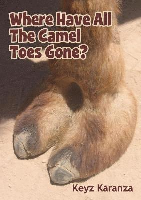 Where Have All The Camel Toes Gone? 1