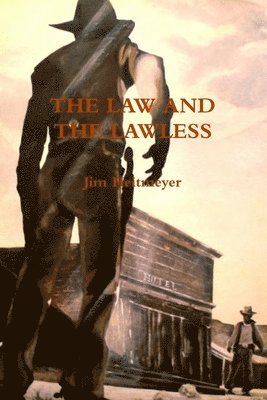 bokomslag Law and Lawless
