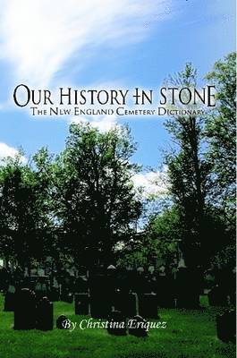 bokomslag Our History In Stone