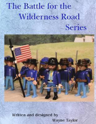 Wayne Taylor - Civil War Battles Along the Wilderness Trail, Häftad