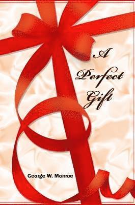 bokomslag Perfect Gift
