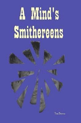 Tim Brown - Mind's Smithereens, Häftad