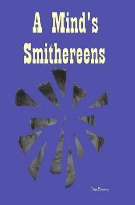 A Mind's Smithereens 1