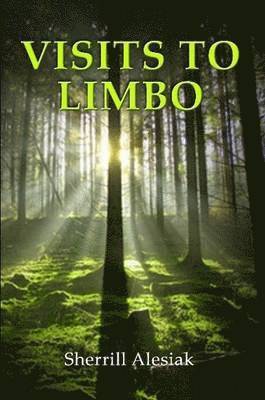 Visits to Limbo 1