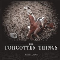 bokomslag Forgotten Things
