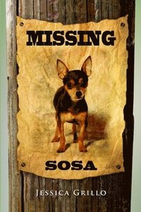 bokomslag Missing Sosa