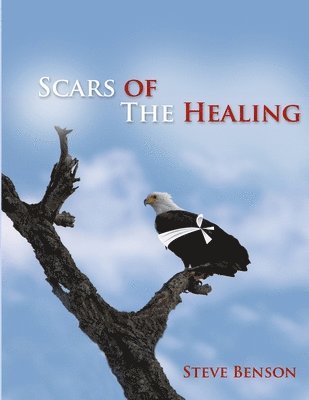 Scars of the Healing 1