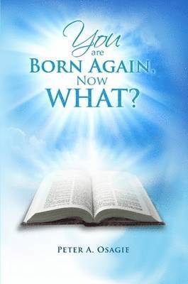 bokomslag You Are Born Again, Now What?