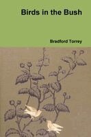 Bradford Torrey - Birds in the Bush, Häftad