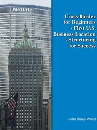 bokomslag Cross-Border for Beginners - First U.S. Business Location - Structuring for Success