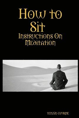 How to Sit, Instructions on Meditation