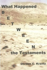 bokomslag What Happened Between the Testaments