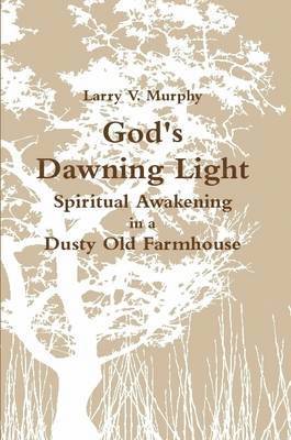 bokomslag God's Dawning Light; Spiritual Awakening in a Dusty Old Farmhouse