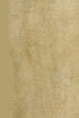 Albrecht Durer - Contemplatio Totivs Vitae Et Passionis Domini Nostri Iesv Christi, Häftad