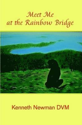 bokomslag Meet Me at the Rainbow Bridge