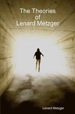 bokomslag The Theories Of Lenard Metzger