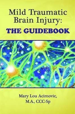 Mild Traumatic Brain Injury 1
