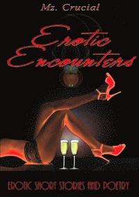 bokomslag Erotic Encounters