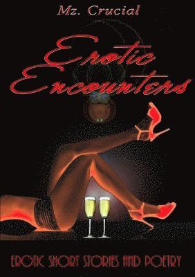 Erotic Encounters 1