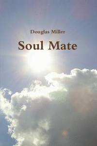 bokomslag Soul Mate