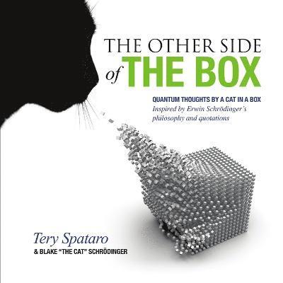 Tery Spataro - Other Side of the Box, Häftad